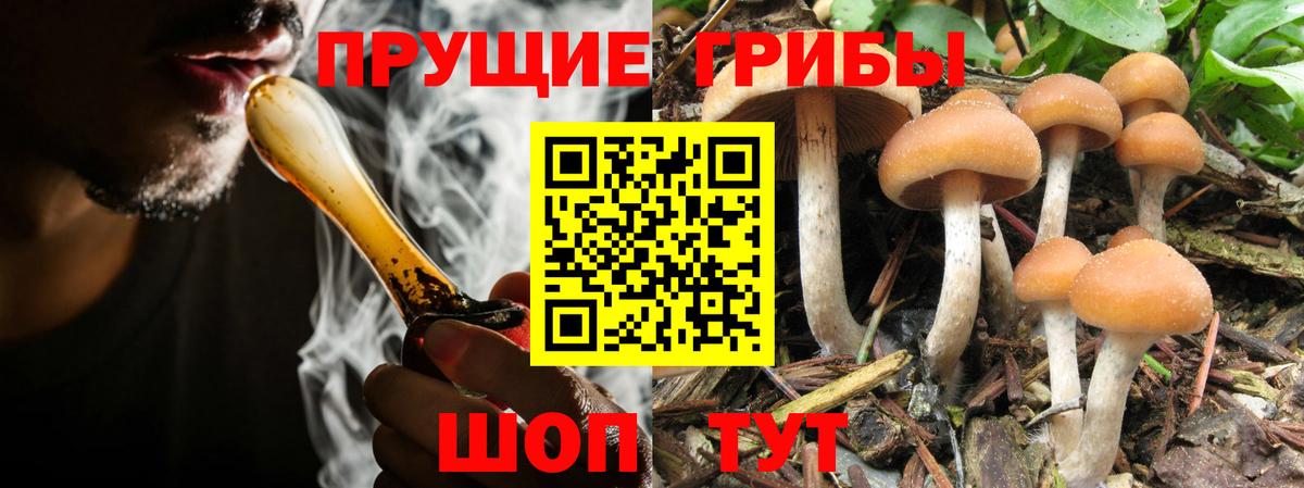 Галлюциногенные грибы мухоморы  Вход с VPN  Киров 