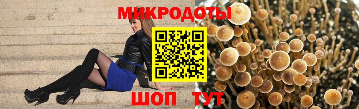 Псилоцибиновые грибы Psilocybe Киров